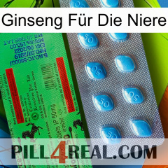 Ginseng Für Die Niere new03